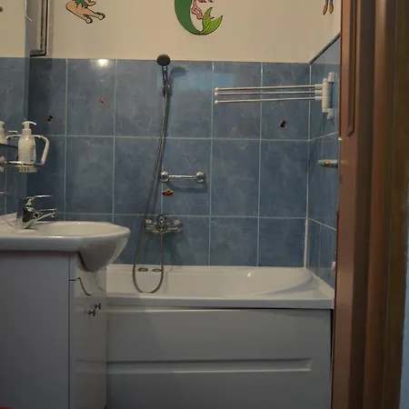 Apartament Doina * Braşov